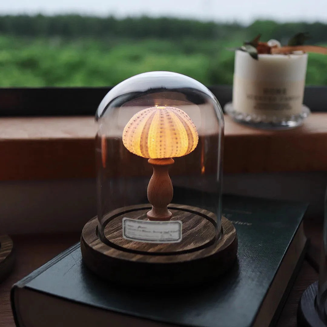 Noční lampička – Mušle v objetí světla