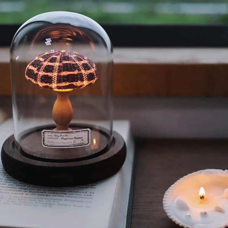 Noční lampička – Mušle v objetí světla 2